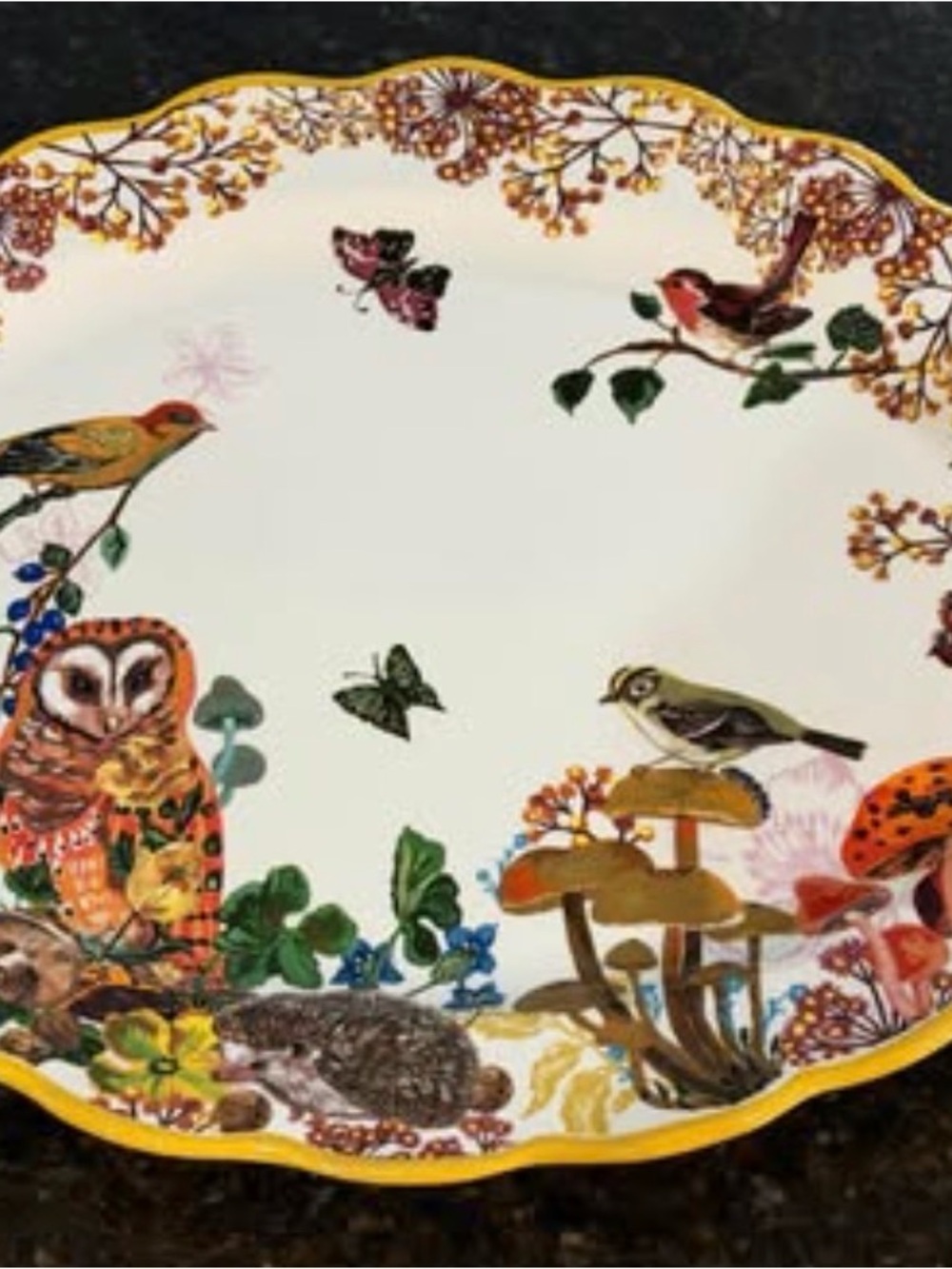 Anthropologie Multicolor Woodland Bird and Owl Decorative Plate